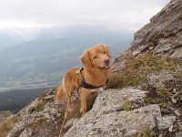 Picui (8)